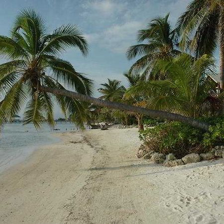 Hotel El Pescador San Pedro  Udogodnienia zdjęcie