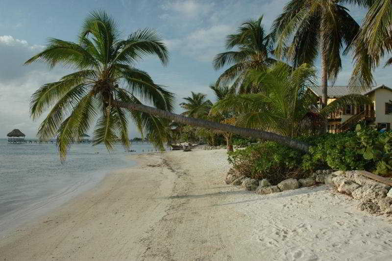Hotel El Pescador San Pedro  Udogodnienia zdjęcie